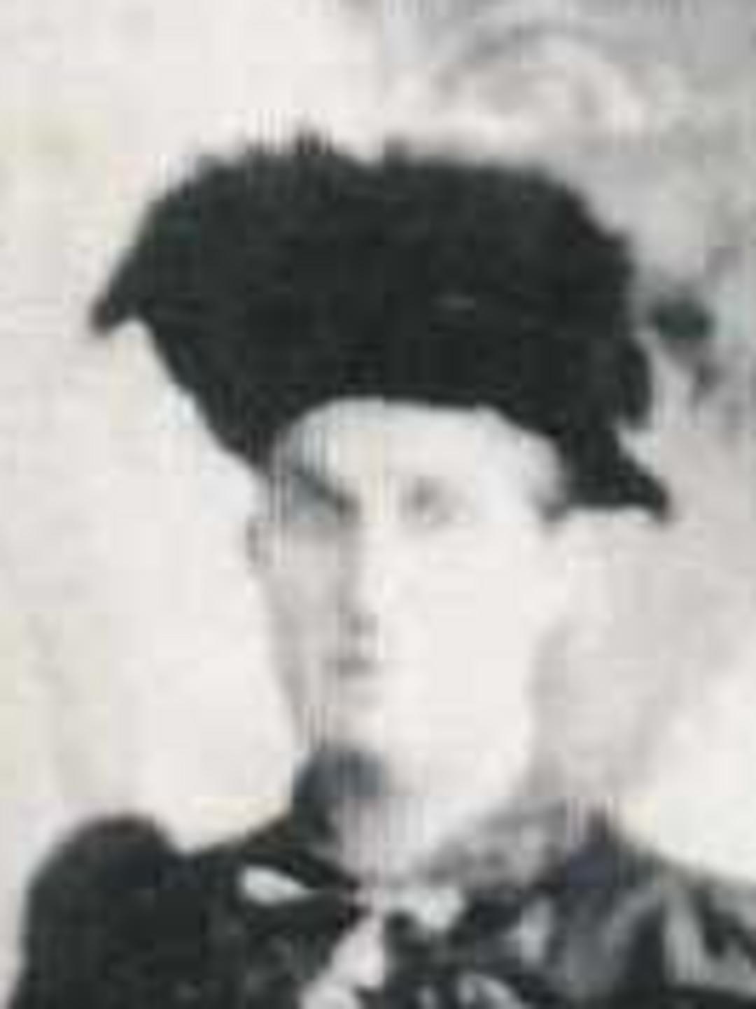 Mary Elizabeth Chadwick (1843 - 1896) Profile